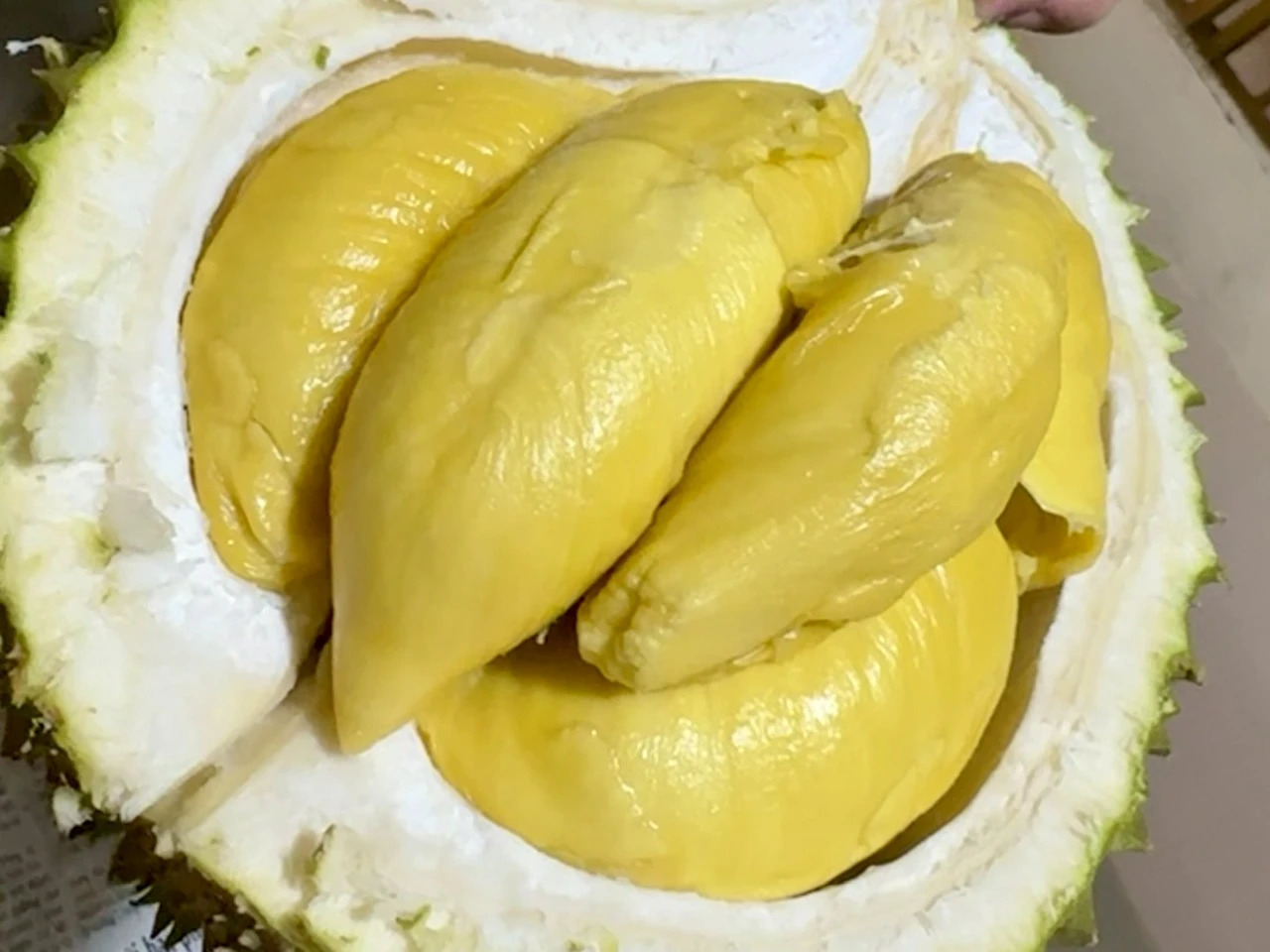 - Ảnh 2. - Ảnh 2.