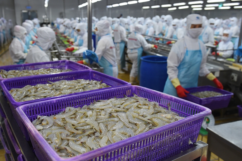 Tôm đông lạnh Việt Nam đối mặt với thuế xuất khẩu tôm cao từ Mỹ năm 2026 - Ảnh 1. Tôm đông lạnh Việt Nam đối mặt với thuế xuất khẩu tôm cao từ Mỹ năm 2026 - Ảnh 1.