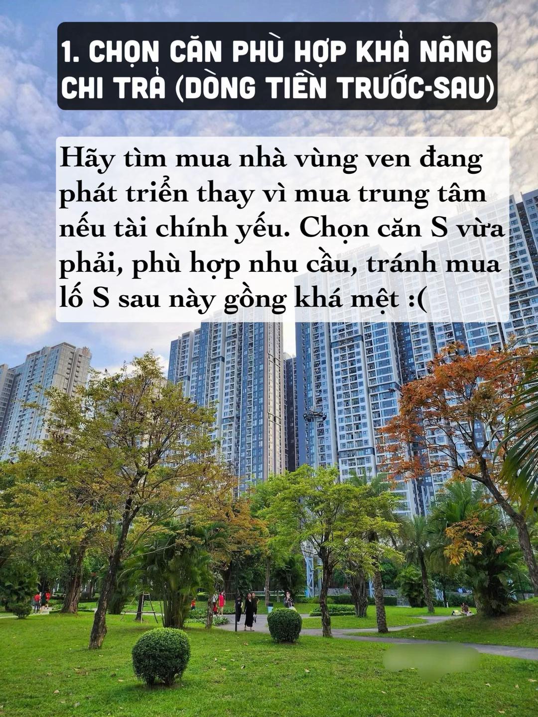 - Ảnh 12.