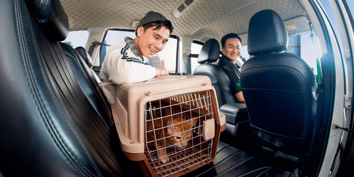 GrabCar Th&uacute; Cưng - dịch vụ chuy&ecirc;n chở th&uacute; cưng