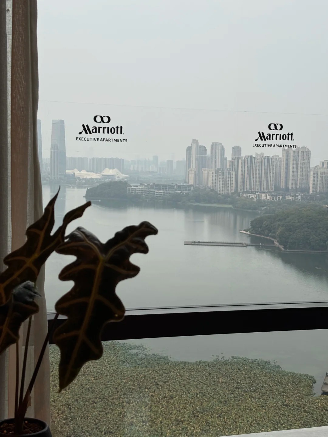  - Ảnh 3.