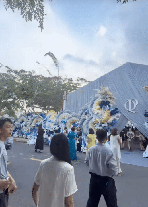 Thiếu gia tiệm vàng miền Tây cưới vợ: Chi vài trăm triệu dựng cổng cưới long - phụng dài 50m, bà con thi nhau đến check-in - Ảnh 1.