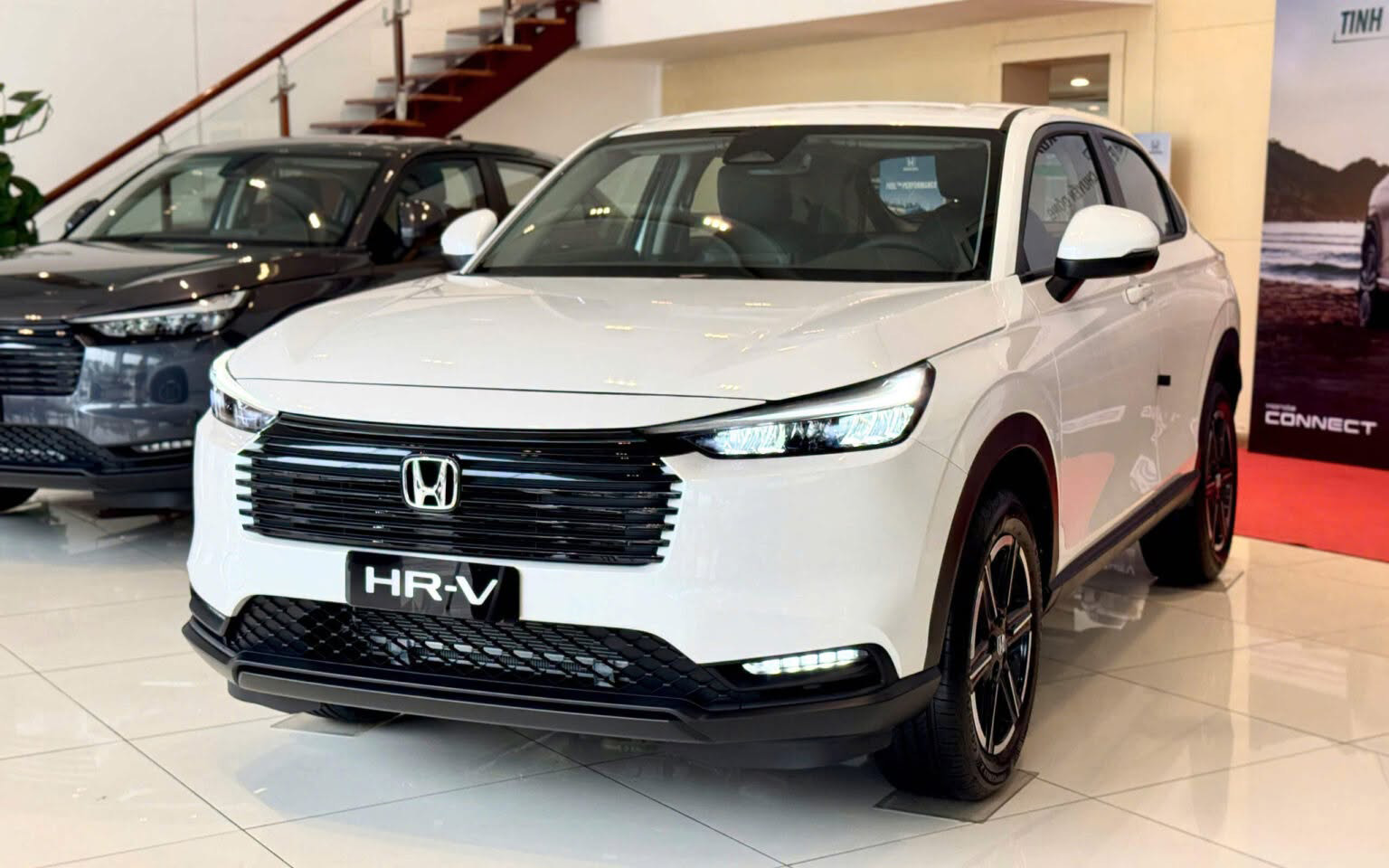 - Ảnh 2. - Ảnh 2.