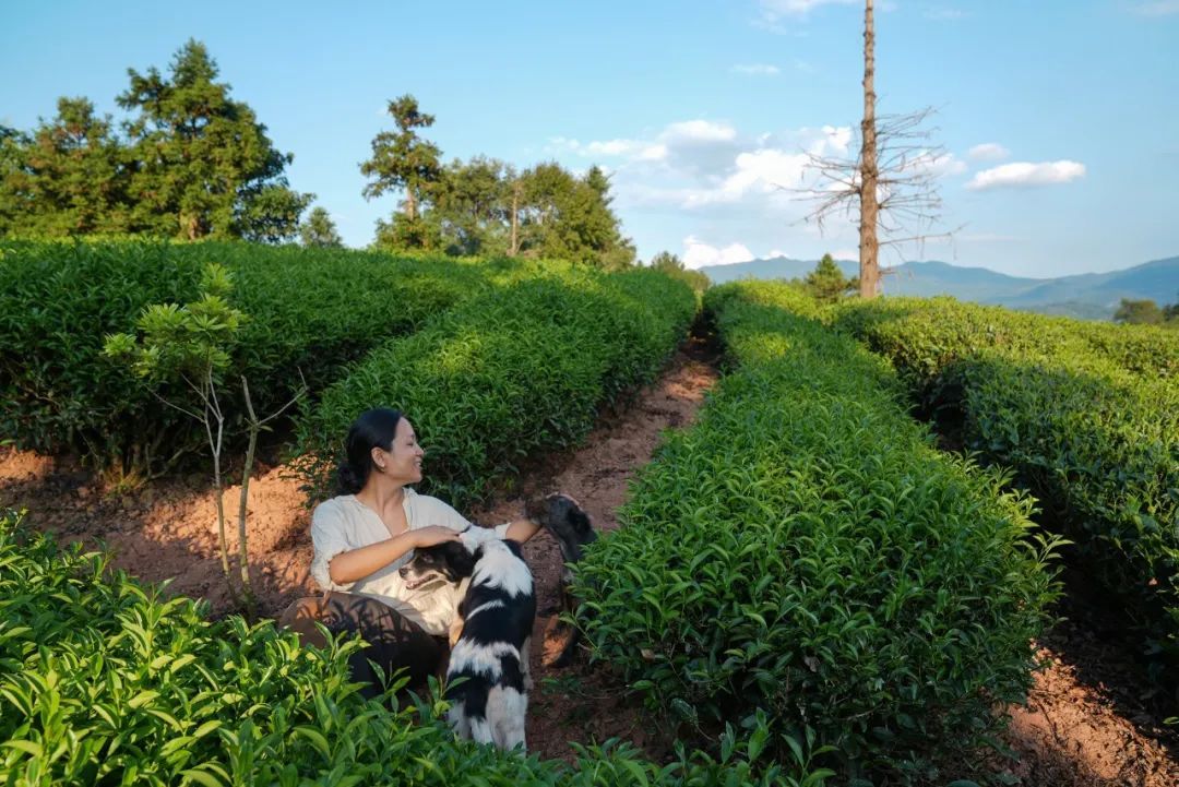 Người phụ nữ 37 tuổi cải tạo căn hộ 45m² thành nơi ai cũng muốn ghé: Không điều hòa, ít dùng điện thoại, đồ cũ cũng thành đẹp - Ảnh 7.