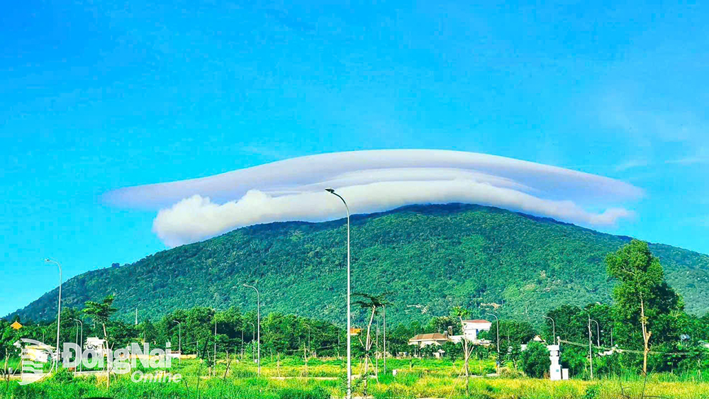- Ảnh 6. - Ảnh 6.