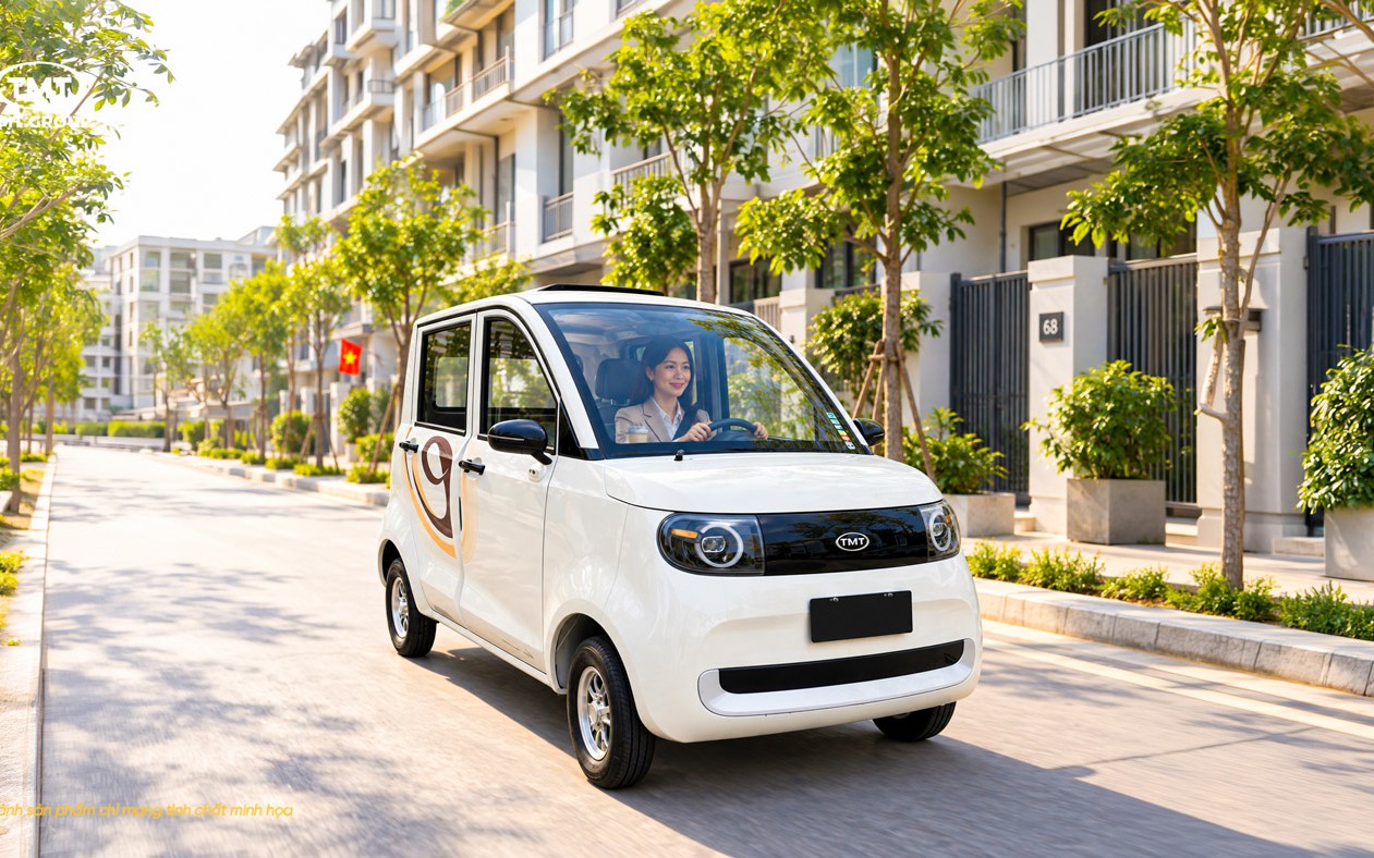 Cạnh tranh với ông Phạm Nhật Vượng làm ô điện giá chỉ từ 123 triệu đồng, tiềm lực của TMT Group mạnh cỡ nào?