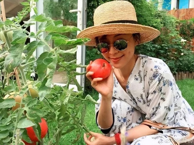 Nữ nghệ sĩ bỏ phố về quê: Đào đất, gieo hạt, bón phân, làm vườn như nông dân thực thụ - Ảnh 6.
