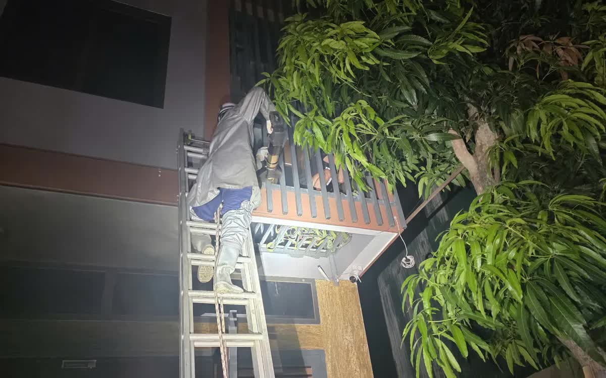  - Ảnh 1.