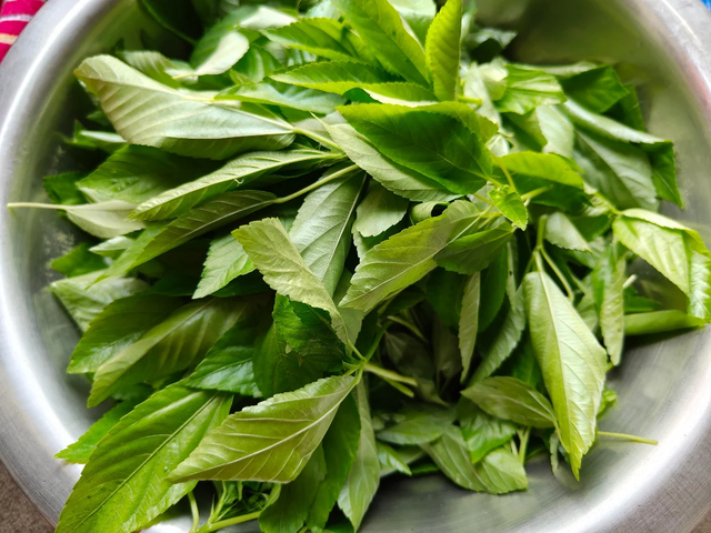 Ăn quá ít rau có thể ảnh hưởng trí nhớ? 5 loại rau mùa hè được 100 bác sĩ Nhật Bản lựa chọn, có loại giàu vitamin C gấp 15 lần cà chua - Ảnh 6.