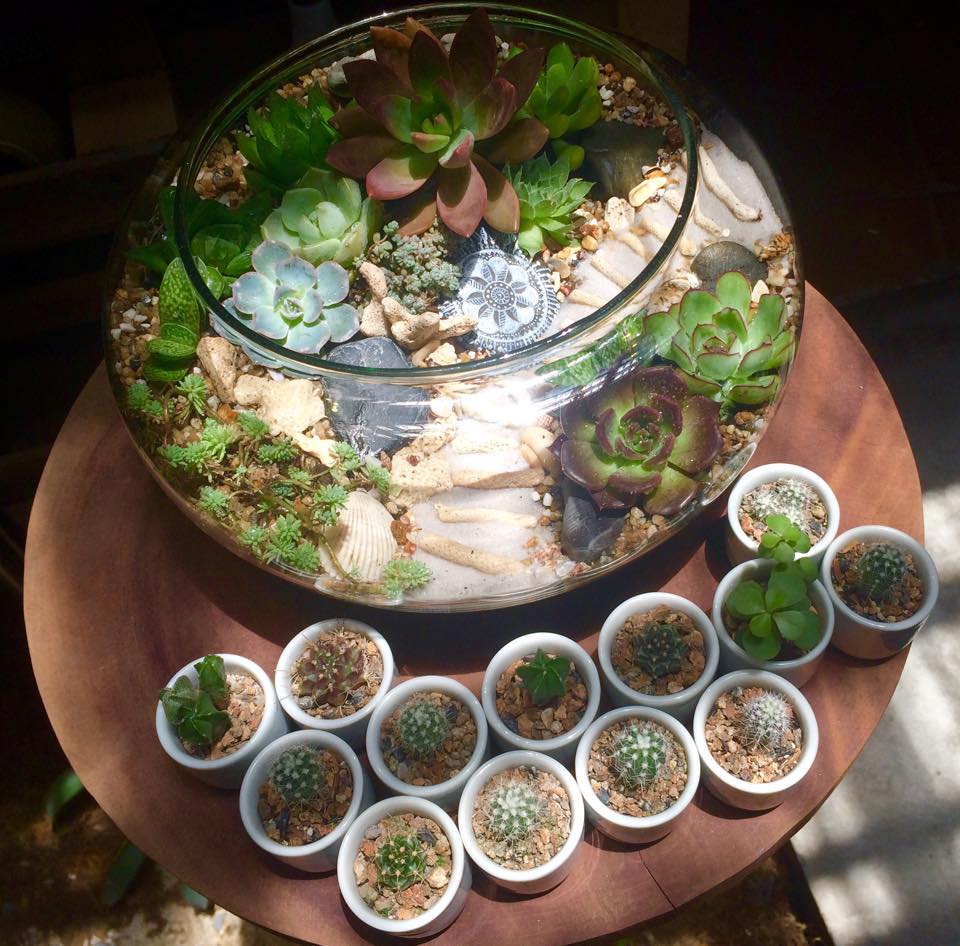 Terrarium và những kiến trúc sư trẻ Hà Nội