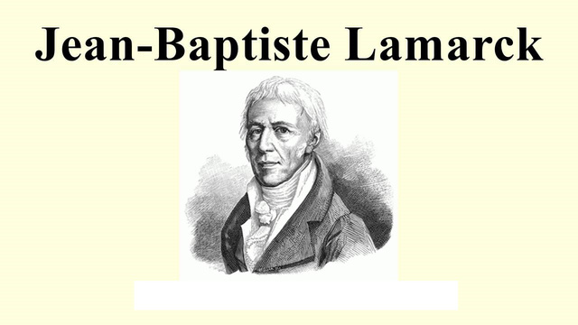 Phần mềm kế toán MISA SME – 27 năm số 1 Việt Nam