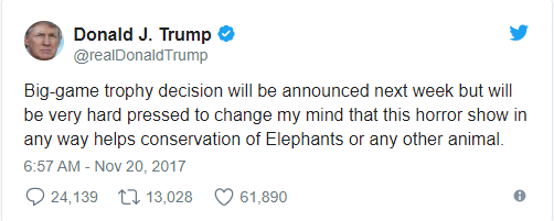Vì sao tuyên bố xem xét lệnh cấm nhập khẩu ngà voi của Tổng thống Donald Trump lại gây tranh cãi? - Ảnh 1.