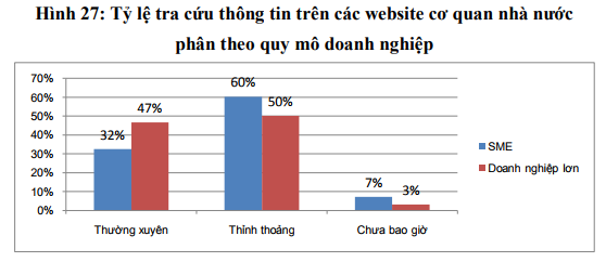 Dịch vụ công điện tử nào được doanh nghiệp Việt Nam sử dụng nhiều nhất? - Ảnh 2.