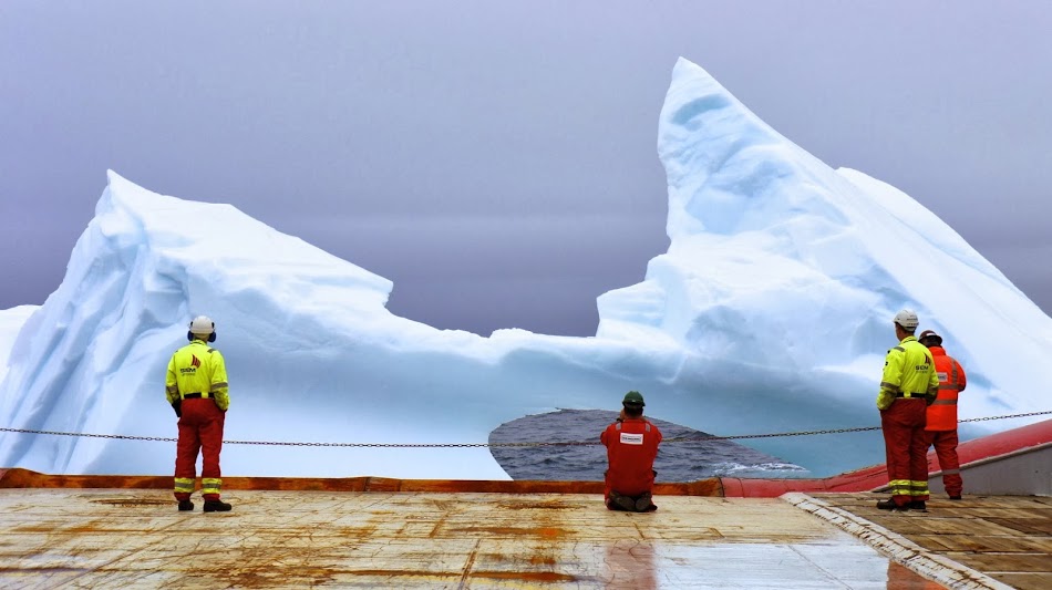 15 công việc kỳ lạ người ta vẫn làm hàng ngày trên thế giới, nhưng có