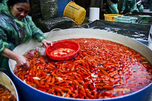 
Chủ yếu tại chợ đầu mối cá Yên Sở được bán theo cân.
