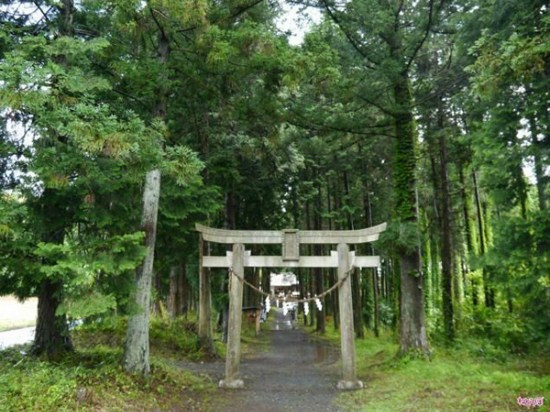 Đền Kunigami - ngôi đền dành cho người bị trĩ