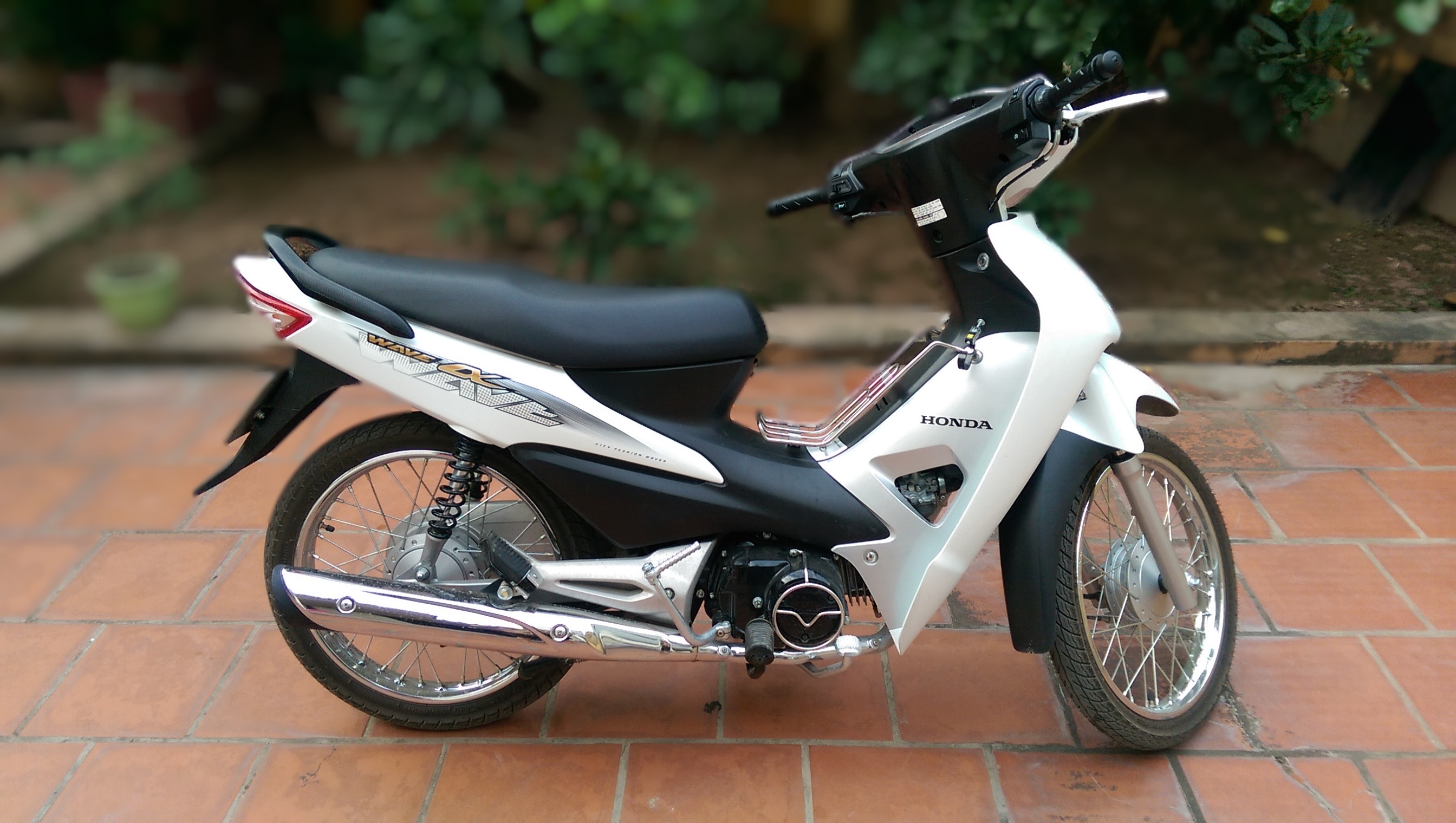 Honda Wave Alpha 2017 khỏe hơn nhẹ hơn