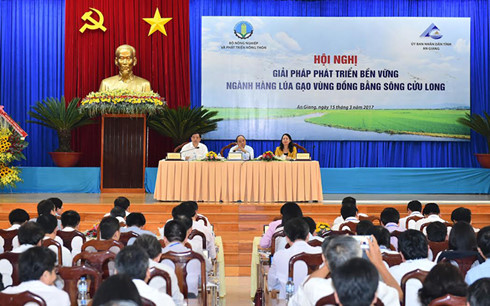 Thủ tướng Nguyễn Xuân Phúc chủ trì Hội nghị Giải pháp phát triển bền vững ngành hàng lúa gạo vùng ĐBSCL 