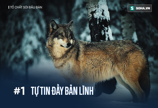 Phần mềm kế toán MISA SME – 27 năm số 1 Việt Nam