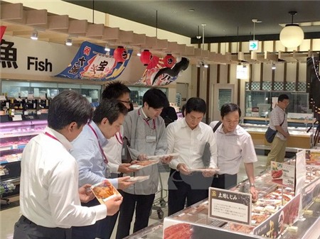 Đại diện Bộ Công Thương và cán bộ phụ trách siêu thị AEON Nhật Bản xem mặt hàng cá tra Việt Nam. (Ảnh: Thành Hữu/TTXVN)