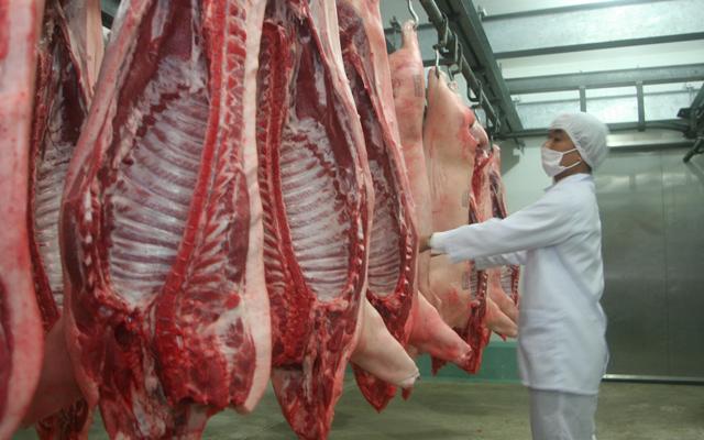 Tắc đường sang Trung Quốc, 4 triệu tấn lợn lo ế nặng - Ảnh 1.