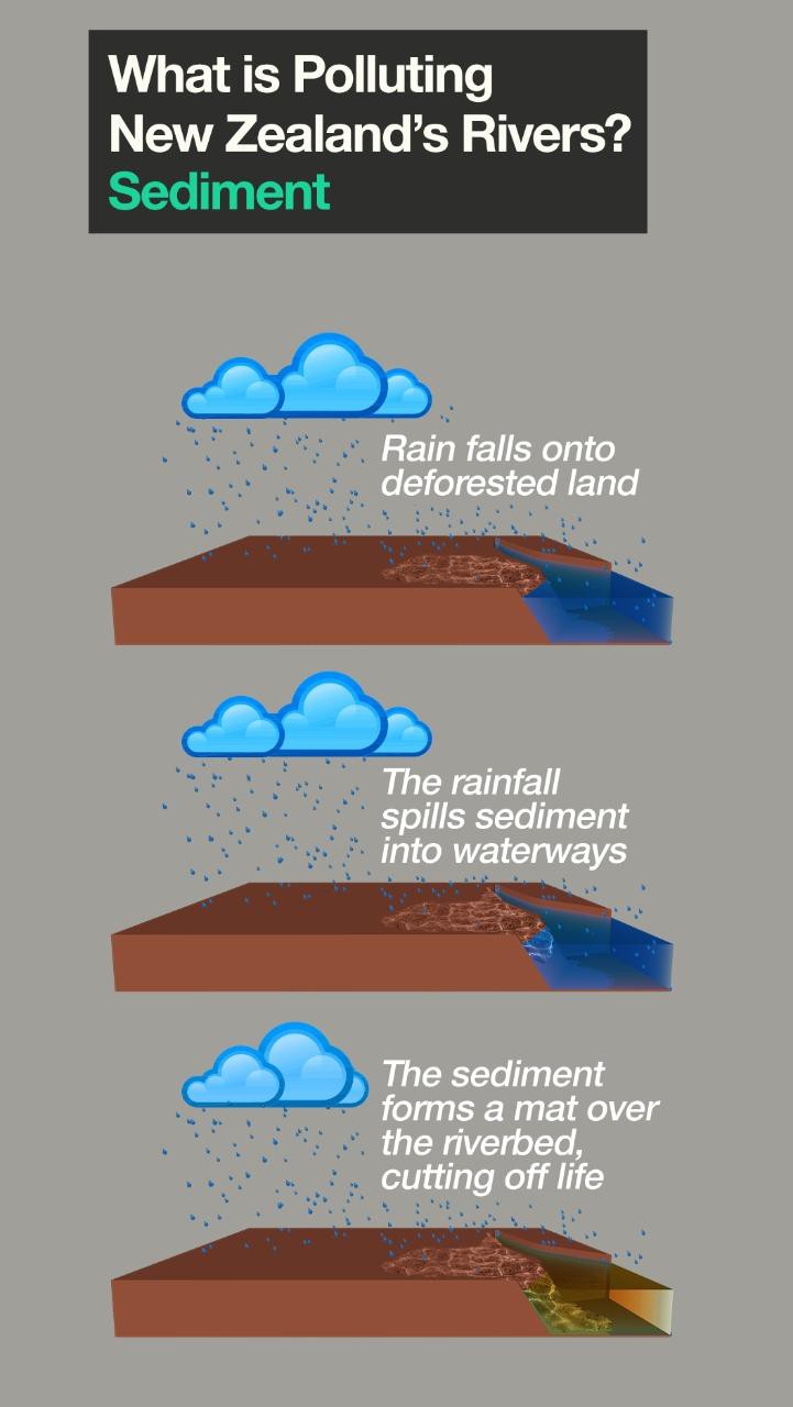 Chặt rừng cho chăn nuôi làm xói mòn đất, ách tắc dòng sông