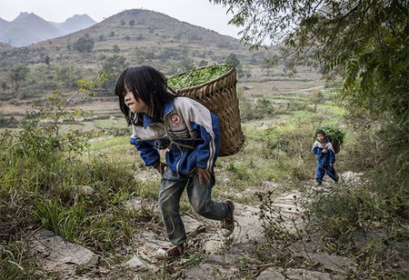 Không phải lạm phát hay lãi suất, đây mới là rủi ro lớn nhất cho nền kinh tế Trung Quốc - Ảnh 4.