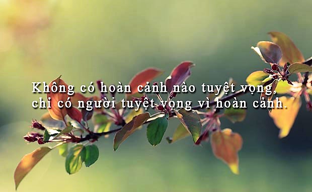 
Có thể chúng ta đã từng khóc, đã từng gào thét đến tuyệt vọng, thậm chí nghĩ tới việc nên đặt dấu chấm hết. Nhưng nếu so với cô bé chỉ mới 2 tuổi kia, thì suy nghĩ tiêu cực ấy phải chăng là quá hèn nhát và ích kỉ? (Ảnh minh họa)
