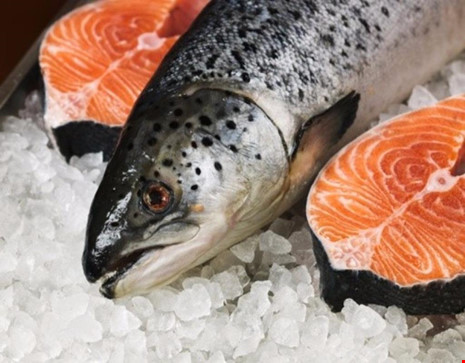 
Cá hồi là một trong những nguồn cung cấp vitamin E, omega 3 cho cơ thể rất hiệu quả. (Hình minh họa)

