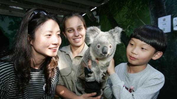 
Hàng nghìn người dân Trung Quốc từng vô tư ghé thăm những địa điểm du lịch nổi tiếng tại Úc bằng hình thức mua vé bất hợp pháp - (Ảnh minh họa).
