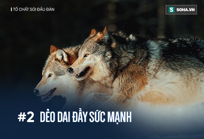 Phần mềm kế toán MISA SME – 27 năm số 1 Việt Nam