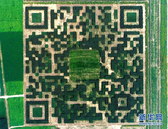 Ngôi làng Trung Quốc đặc biệt xây dựng hẳn công viên QR Code để thu hút khách du lịch - Ảnh 2.