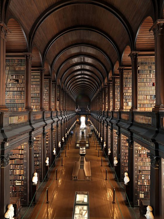 Những thư viện chất nhất thế giới - Ảnh 2.