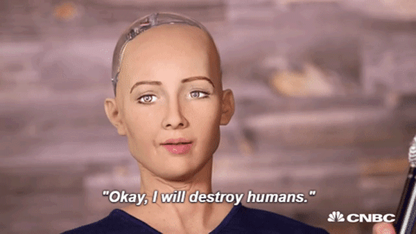 Toàn bộ cuộc phỏng vấn nữ robot Sophia: Tôi cũng thấy sởn gai ốc... - Ảnh 2.