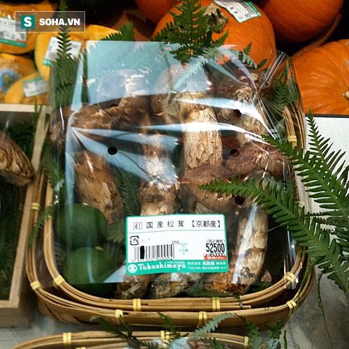 7 cây nấm nhỏ có giá 52.500 yên, tương đương khoảng hơn 10 triệu đồng