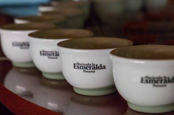 Panama Geisha có xuất xứ từ trại cà phê Hacienda La Esmeralda.