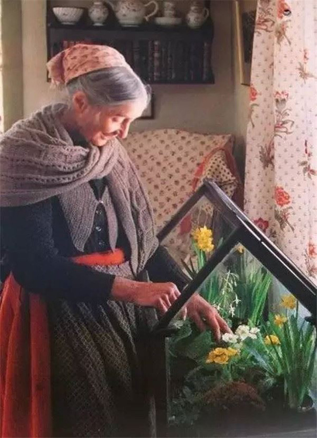 Bên cạnh chăm sóc các cây, hoa ngoài vườn, bà Tasha còn có một nhà kính mini để chăm sóc các loại hoa ưa khí hậu ấm áp.