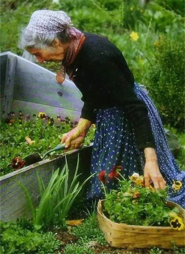 Bà Tasha dành rất nhiều thời gian chăm sóc cho khu vườn của mình.