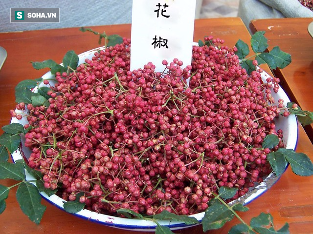 Hoa tiêu tươi