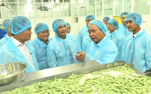 Thủ tướng Nguyễn Xuân Phúc thăm dây chuyền chế biến của Công ty cổ phần rau quả thực phẩm An Giang
