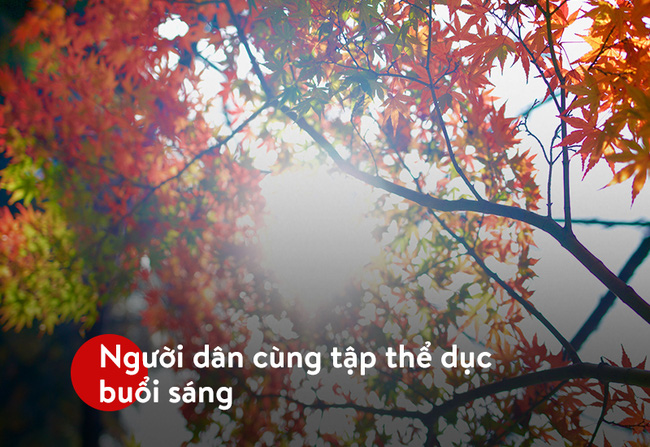 Phần mềm kế toán MISA SME – 27 năm số 1 Việt Nam