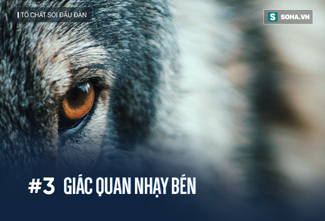 Phần mềm kế toán MISA SME – 27 năm số 1 Việt Nam