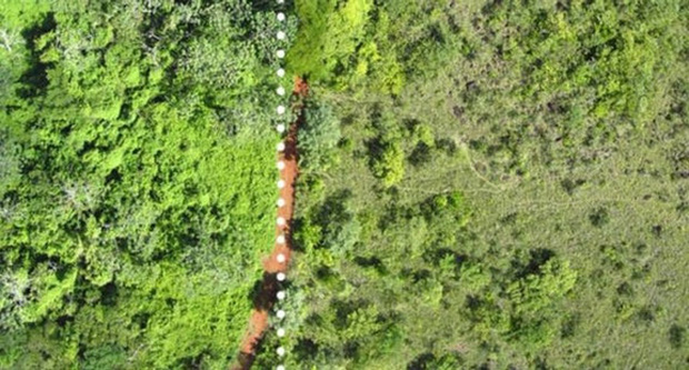 Một công ty nước ép đổ 12.000 tấn vỏ cam xuống khu bảo tồn thiên nhiên, 19 năm sau, đây là “hậu quả” - Ảnh 3.