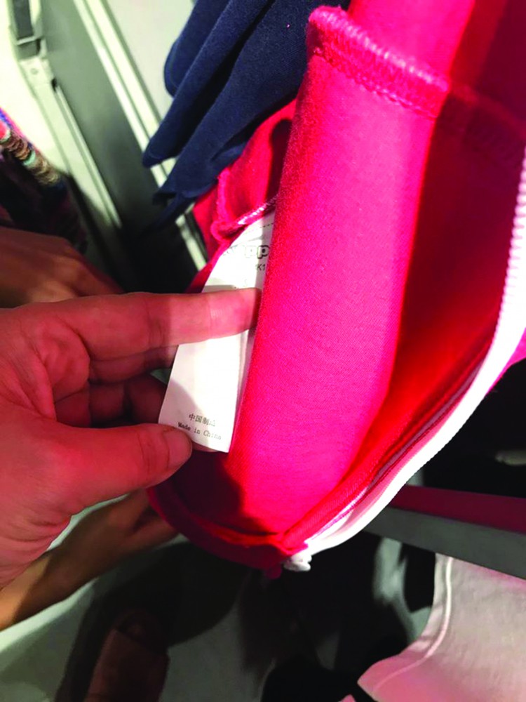 Hoàng Phúc và câu chuyện xuất xứ hàng hóa “hai nguồn gốc - Ảnh 3.