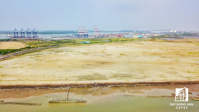  Toàn cảnh Dự án Cảng Tổng hợp - Container Cái Mép Hạ vừa bị thu hồi vì chậm triển khai  - Ảnh 3.