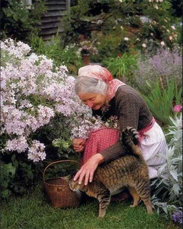 Bà cũng dành nhiều tình yêu và sự chăm sóc cho động vật