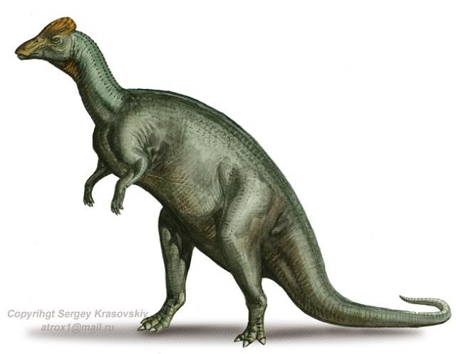 Và loài Hypacrosaurus