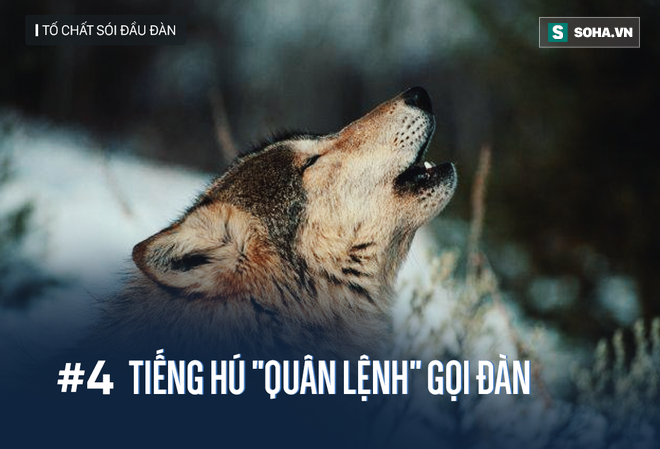 Phần mềm kế toán MISA SME – 27 năm số 1 Việt Nam