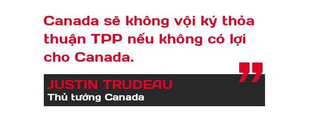  TPP-11: Vì sao thỏa thuận nguyên tắc đổ vỡ phút 89 bởi Canada? - Ảnh 4.