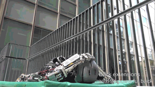 Con robot này có thể tập thể dục và... đổ mồ hôi, không khác gì con người - Ảnh 4.